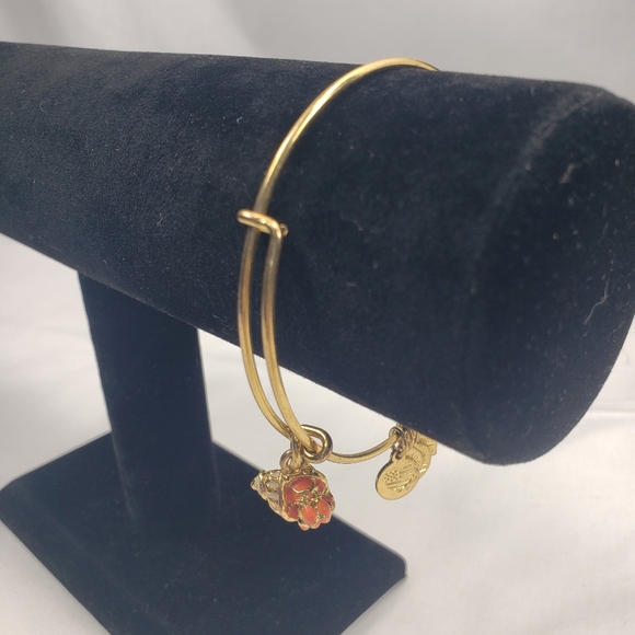 Alex & Ani Hermit Crab Dangle Bracelet  - Picture 2 of 3